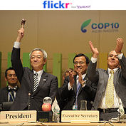 COP10名古屋議定書の採択